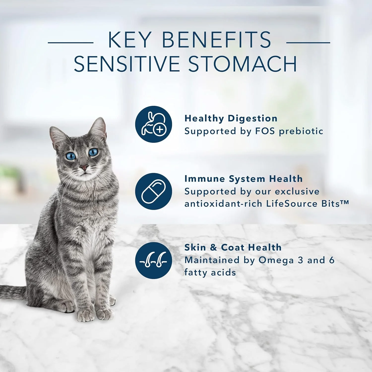 Sensitive Stomach Adult Dry Cat Food - Image 2