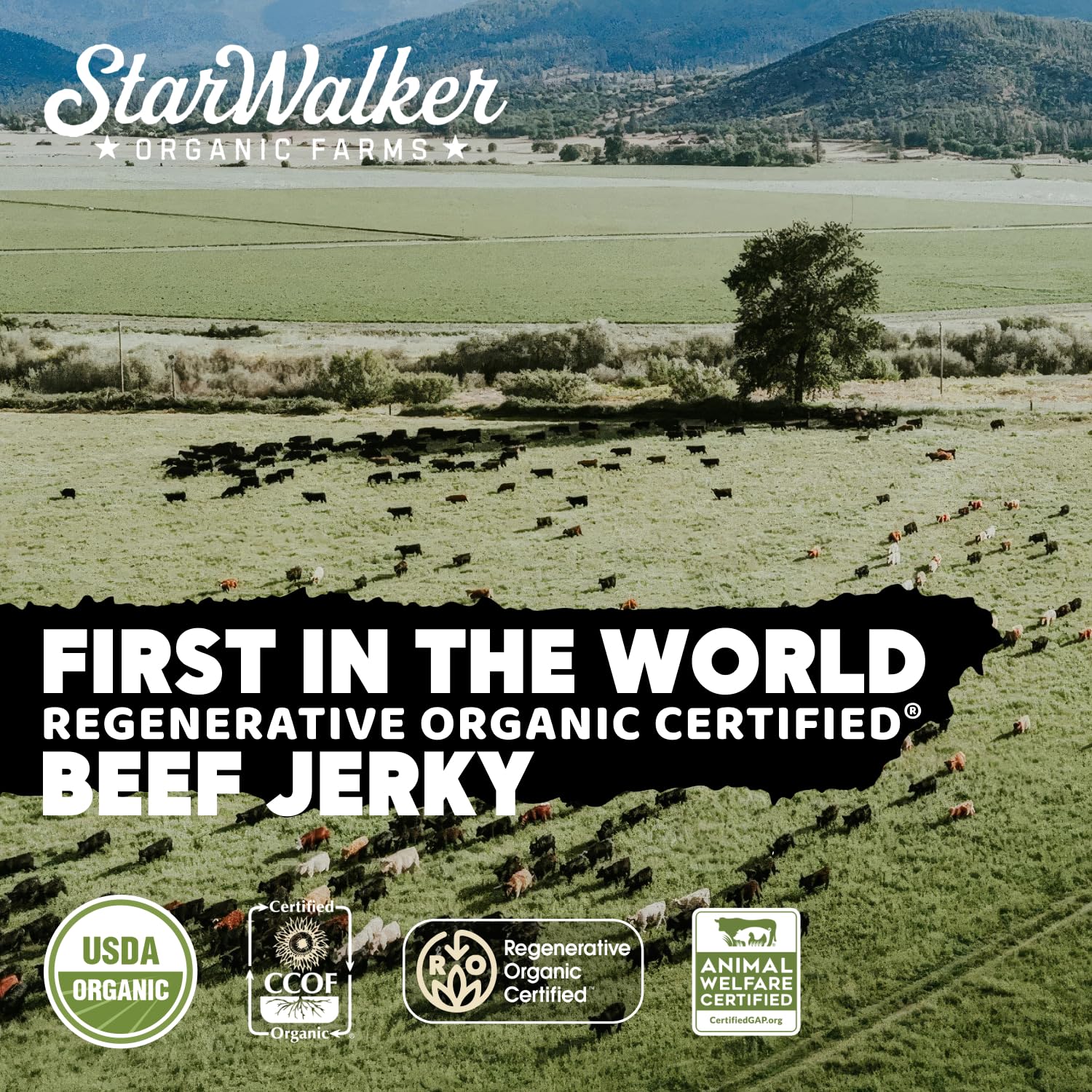Simply Salt and Pepper Beef Jerky - Image 4