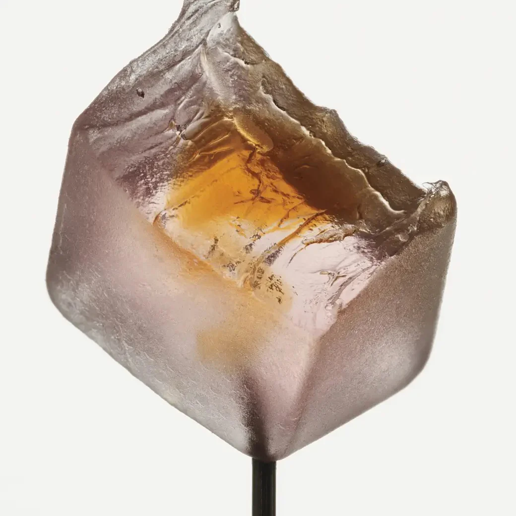 Sleep Mushroom Gummy Delights - White Tea - Image 2