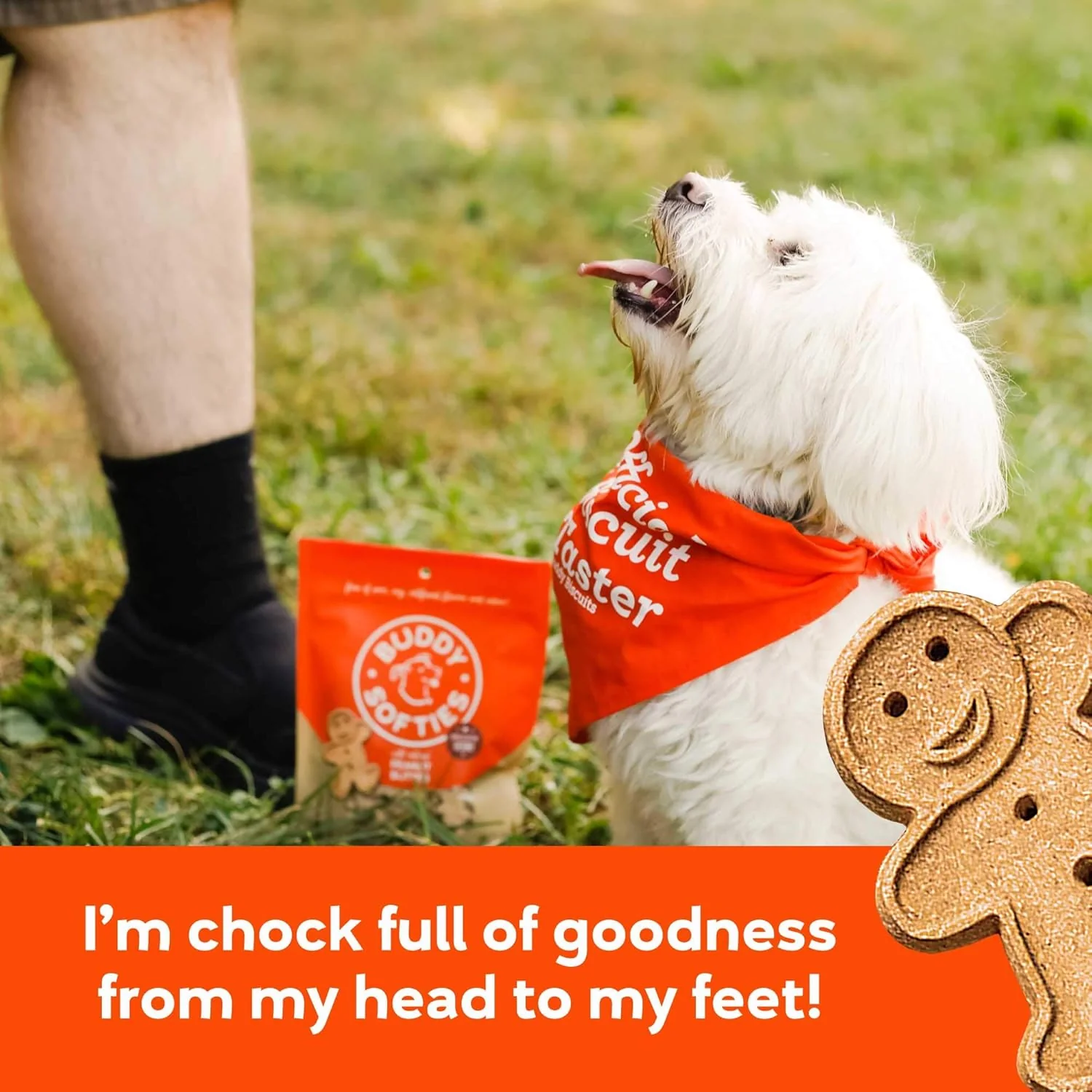 Soft & Chewy Peanut Butter Dog Treats - Image 5