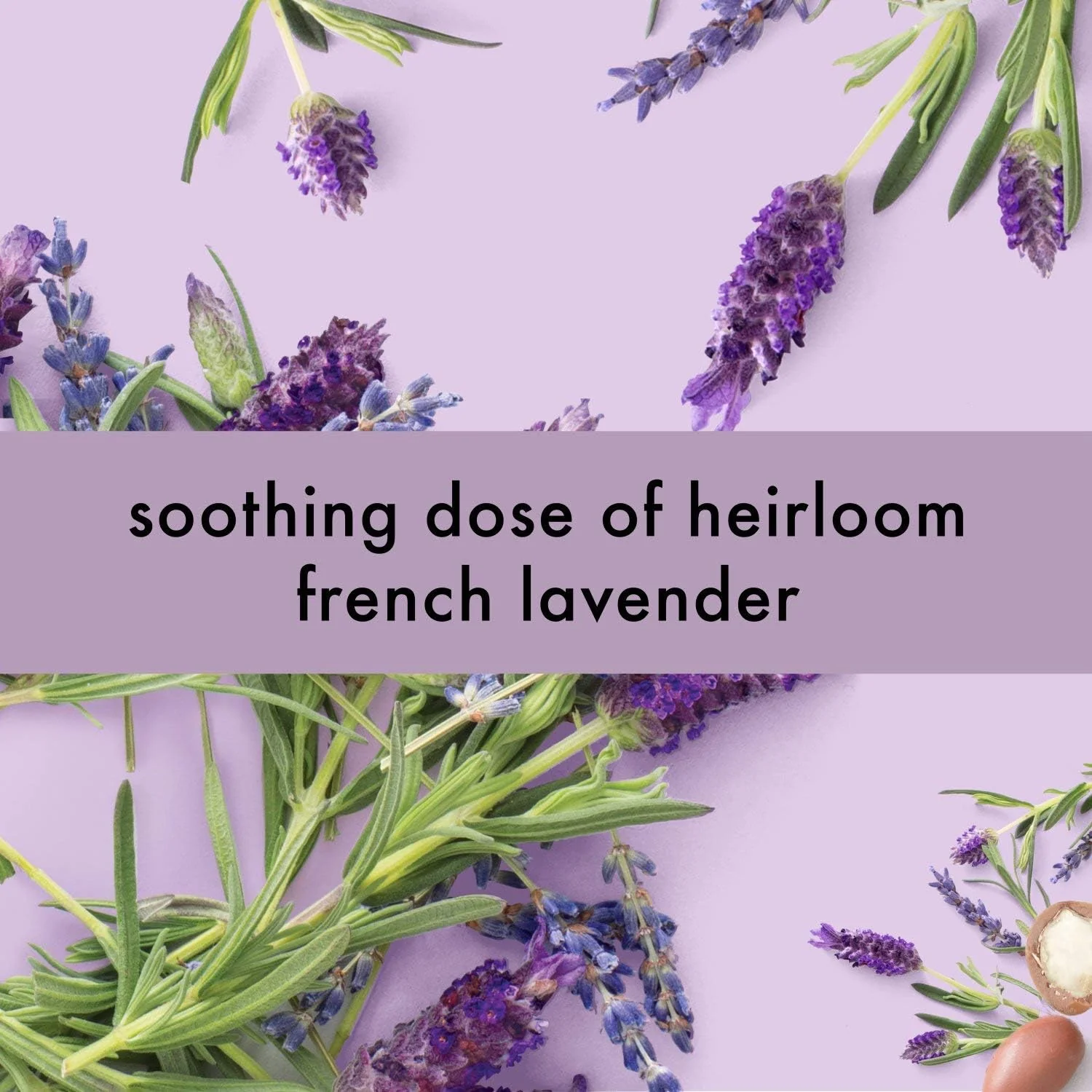 Soothing Spa Hand Wash - Argan Oil & Lavender - Image 3