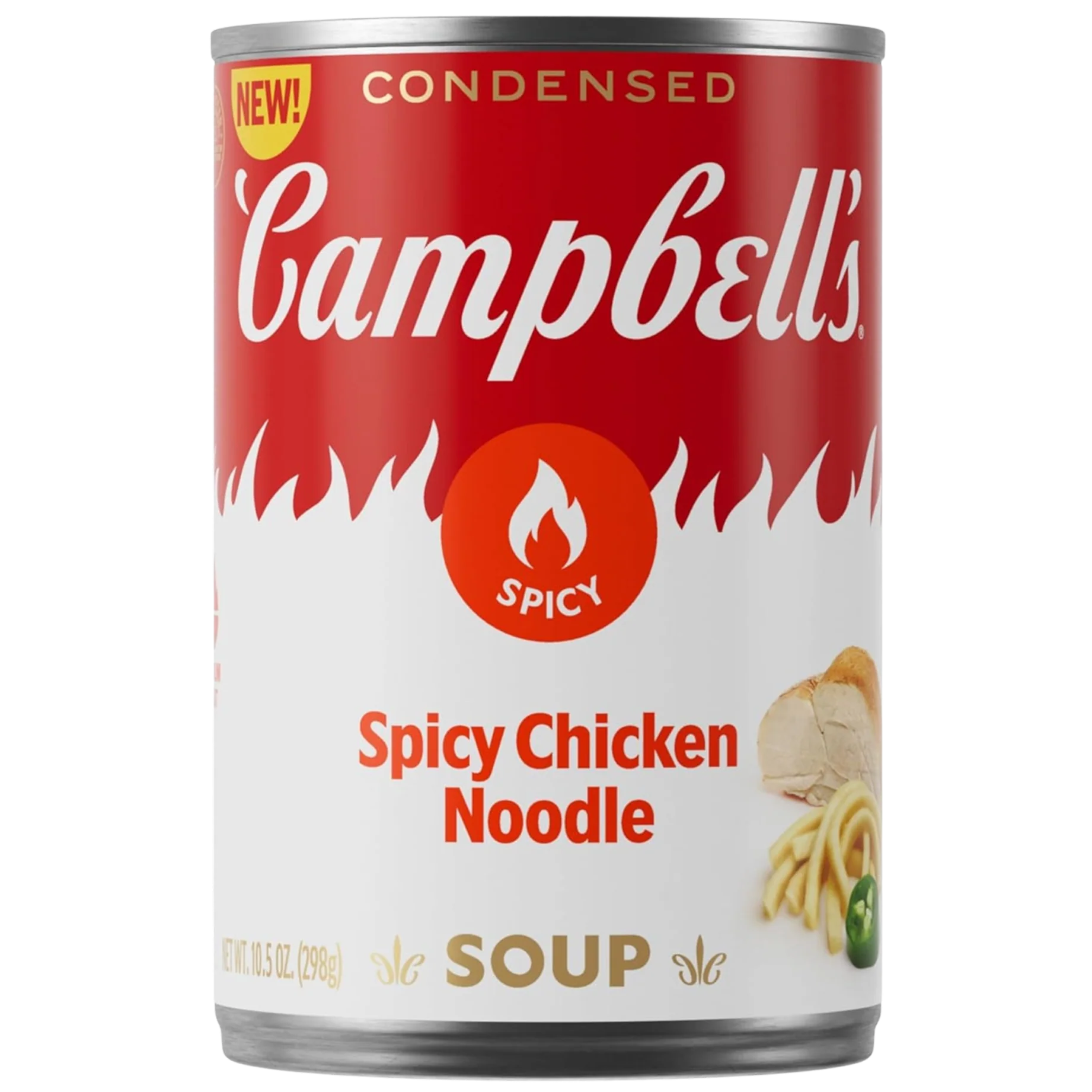 Spicy Chicken Noodle Soup