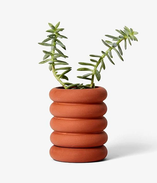 Stacking Planter Mini - Tall Terracotta - Image 2