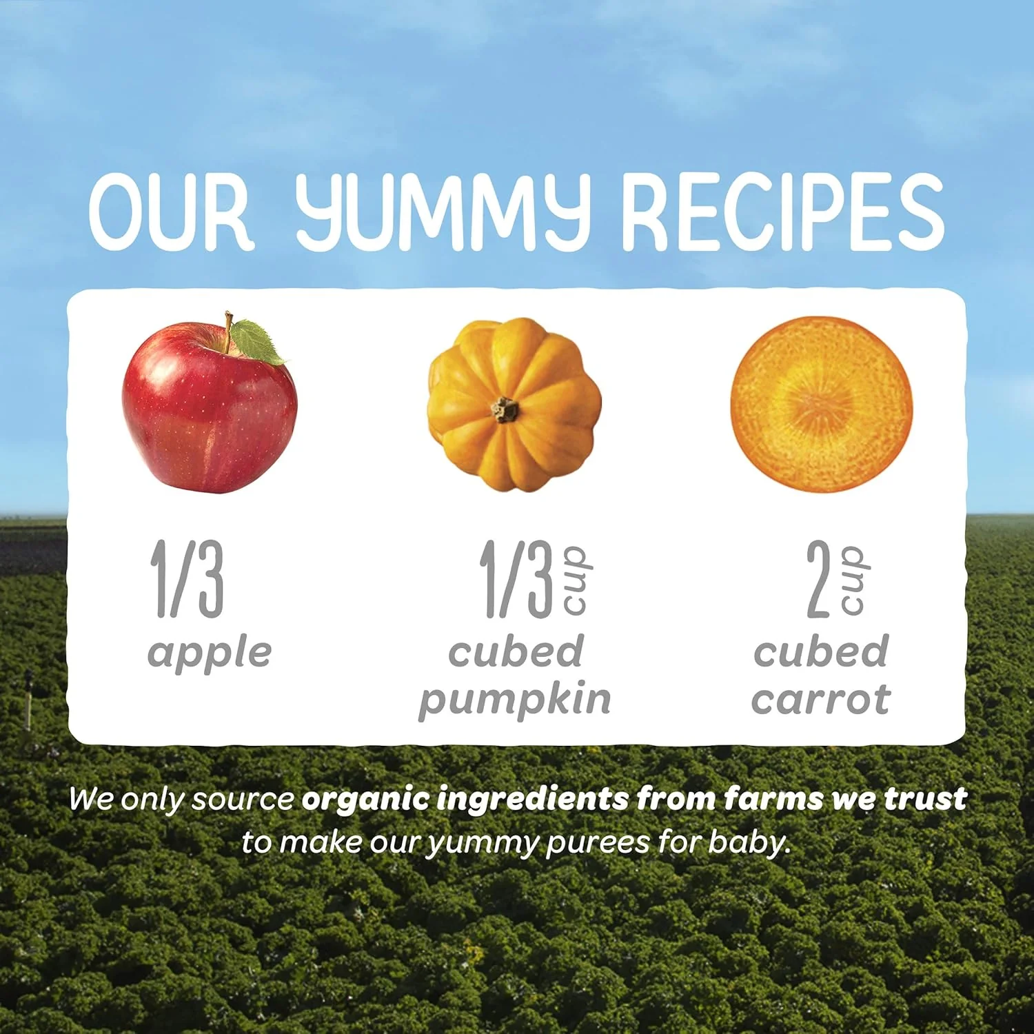 Stage 2 Organic Apples, Pumpkin and Carrots Baby Food (16 Pack) - Image 2