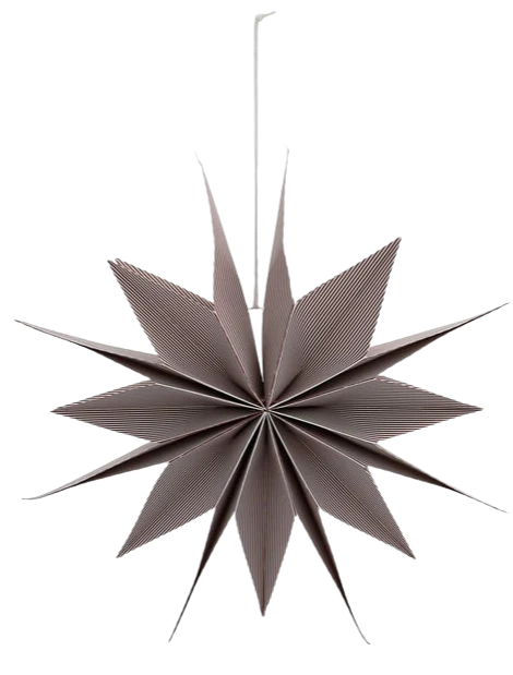 Star Capella (12 Pack) - Image 2