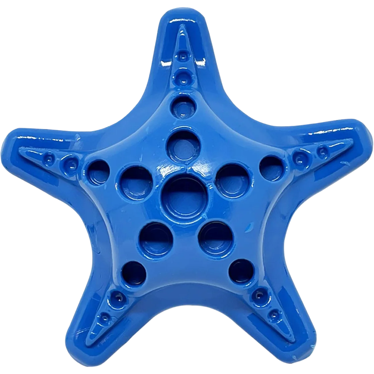 Starfish – Durable Dog Chew Toy - Blue