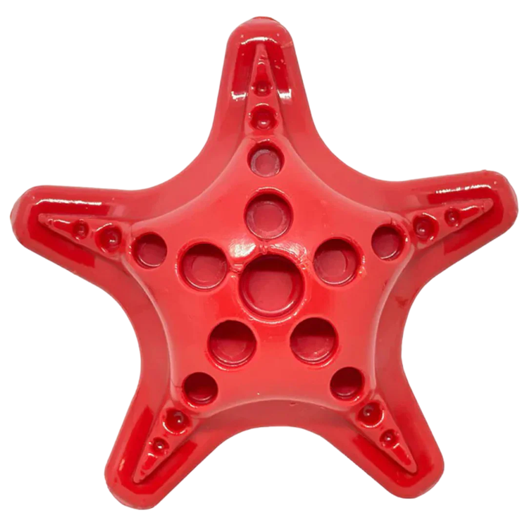 Starfish – Durable Dog Chew Toy - Red