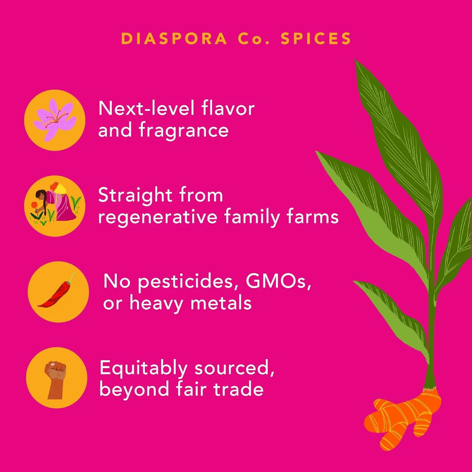 Steak Masala Spice Blend - Image 2