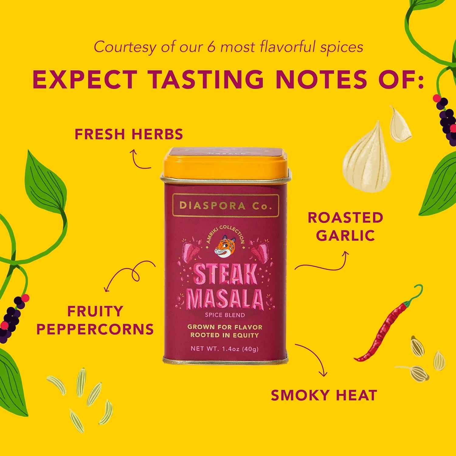 Steak Masala Spice Blend - Image 4