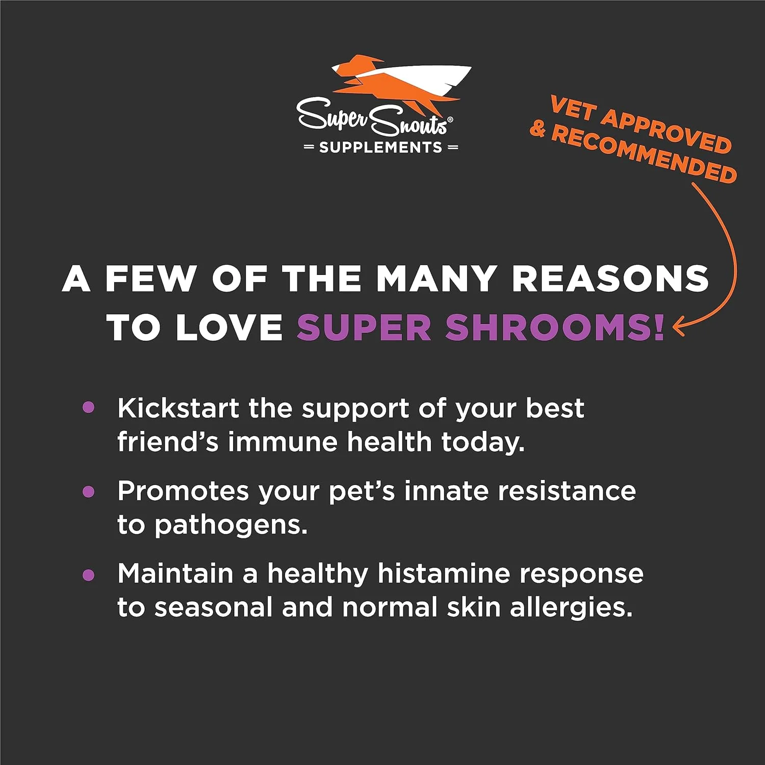 Super Shrooms Mushroom Immune Support Supplement for Dogs and Cats - Image 3