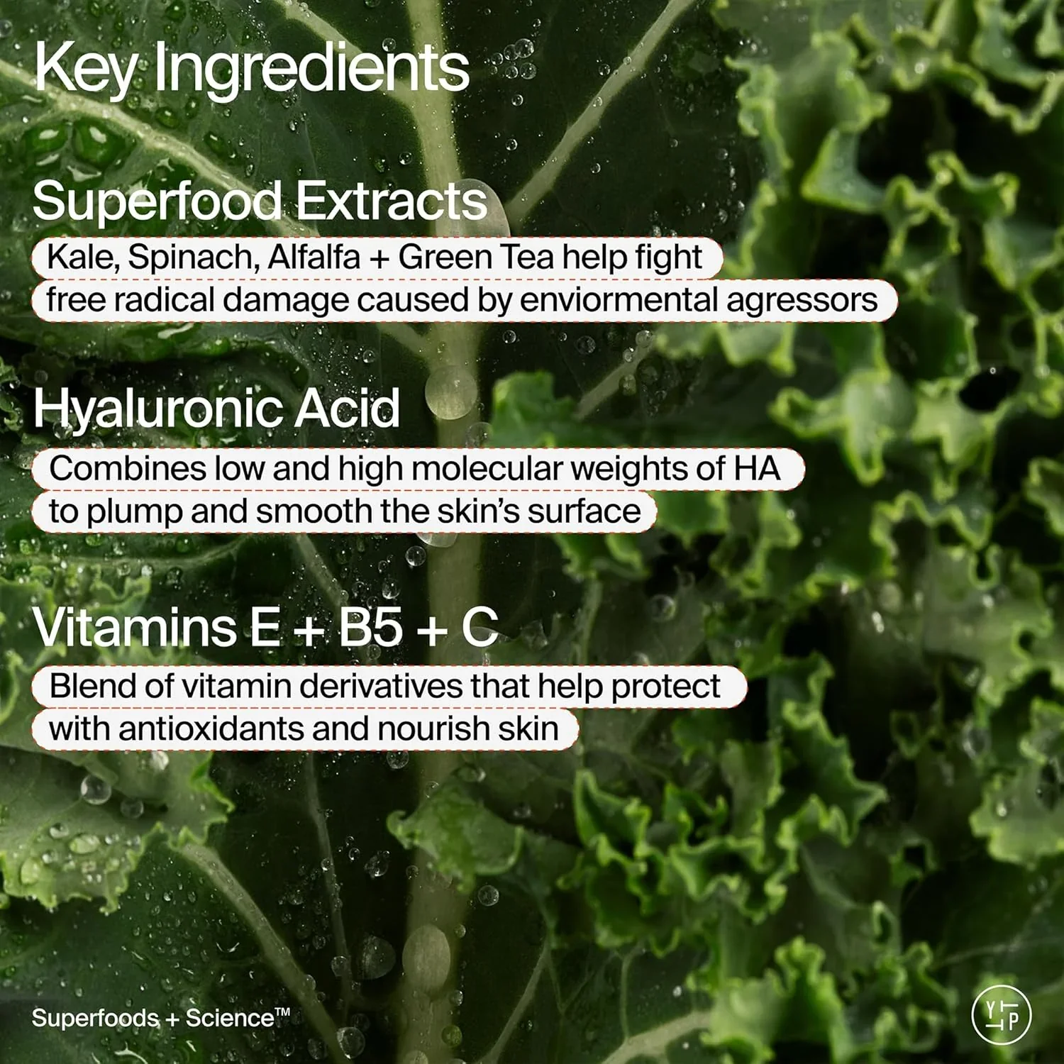 Superfood Hyaluronic Acid Air-Whip Moisture Cream - Image 4