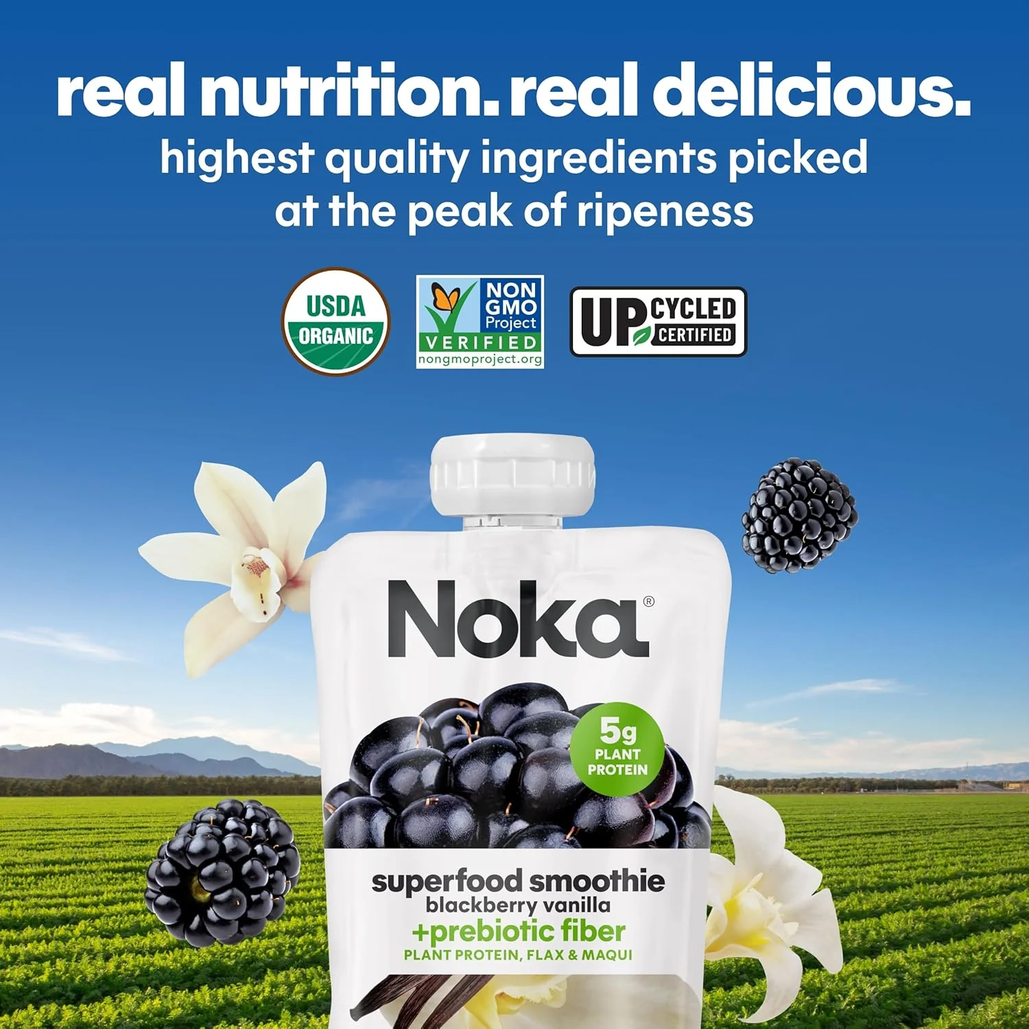 Superfood Smoothies (6 CT) - Image 4