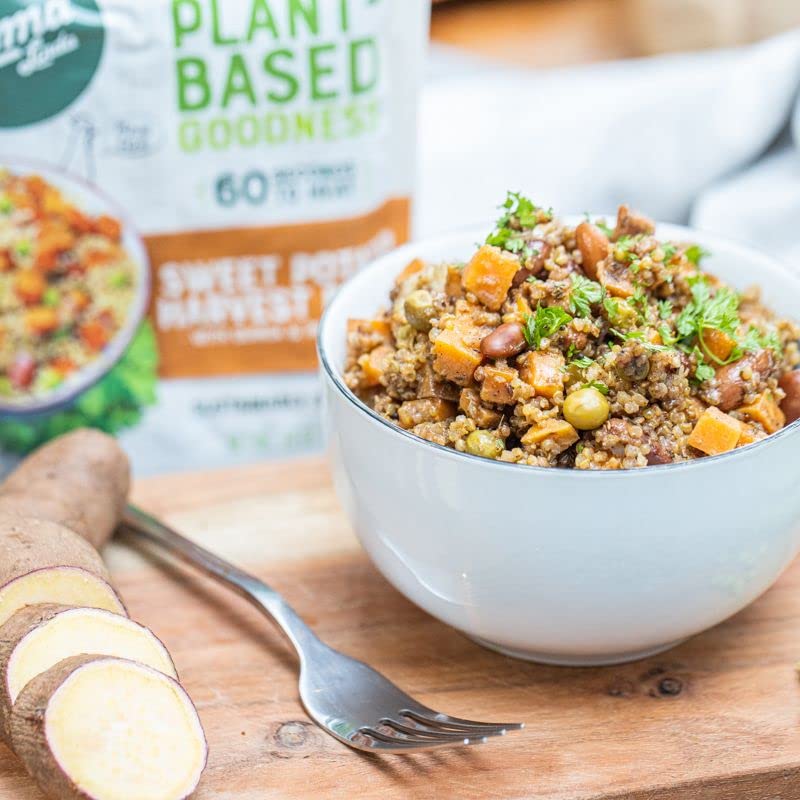Sweet Potato Harvest Bowl (6 Pack) - Image 3