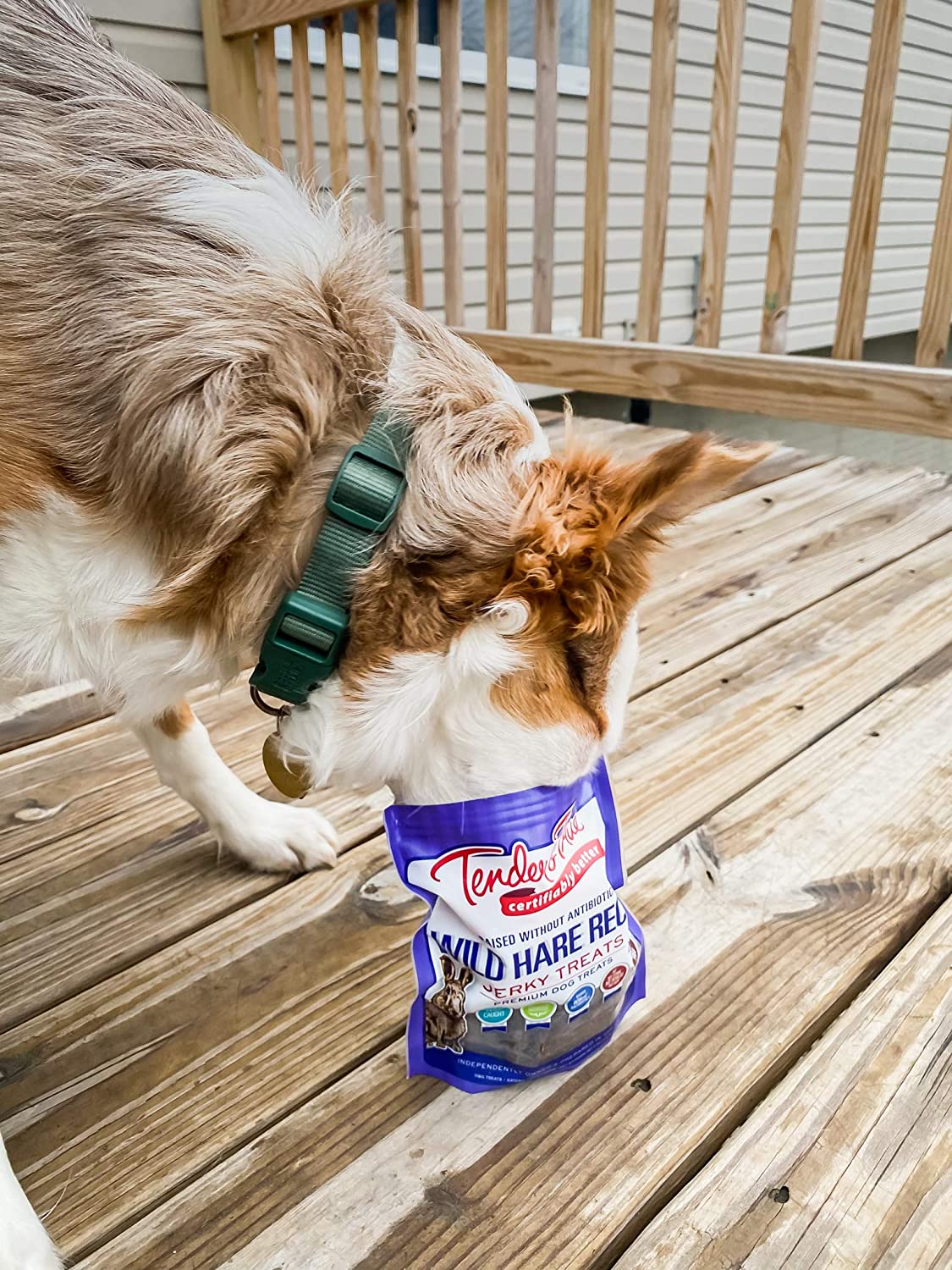 Dog Treats Jerky Wild Hare Recipe - Image 4