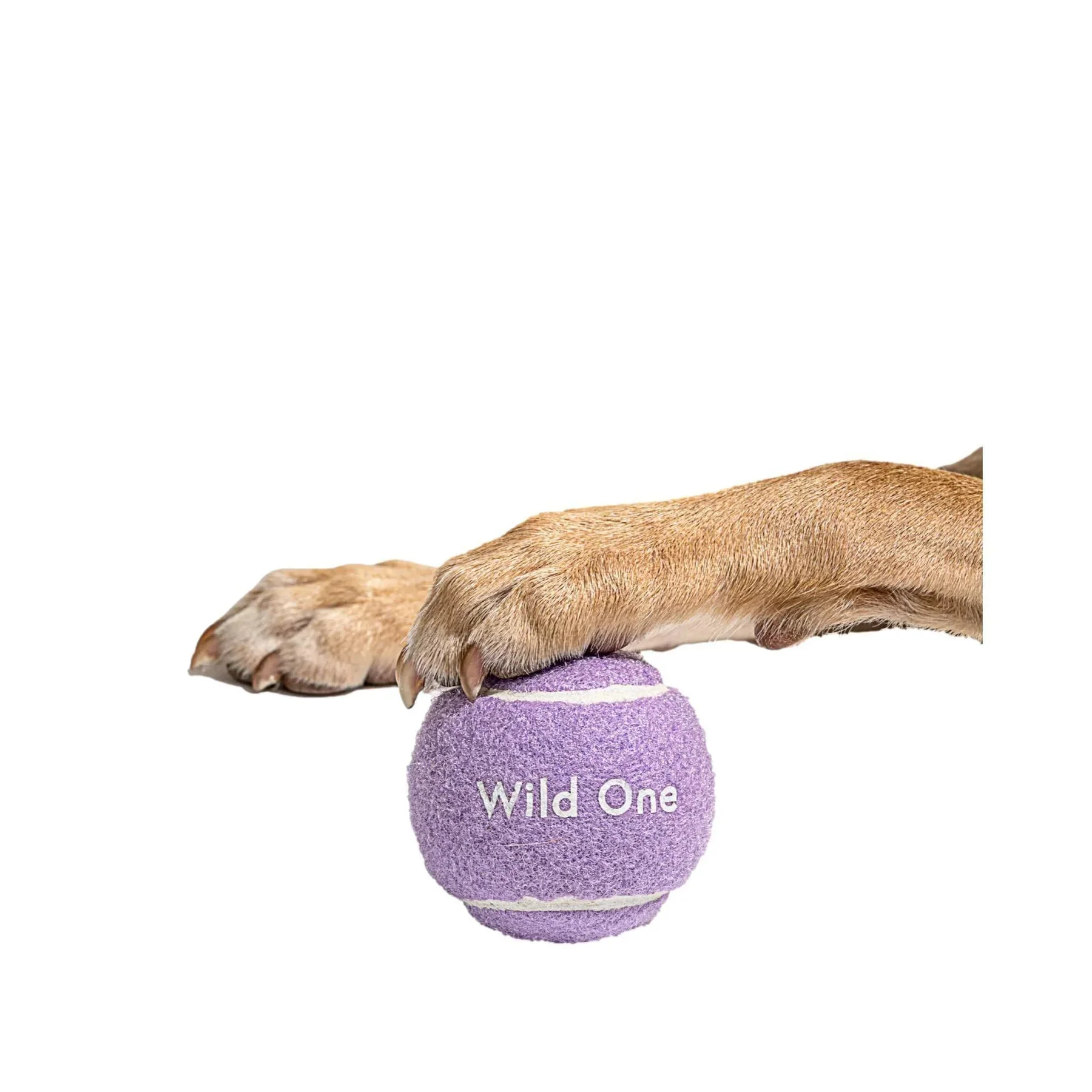 Tennis Balls - Standard - Lilac (4 CT) - Image 4