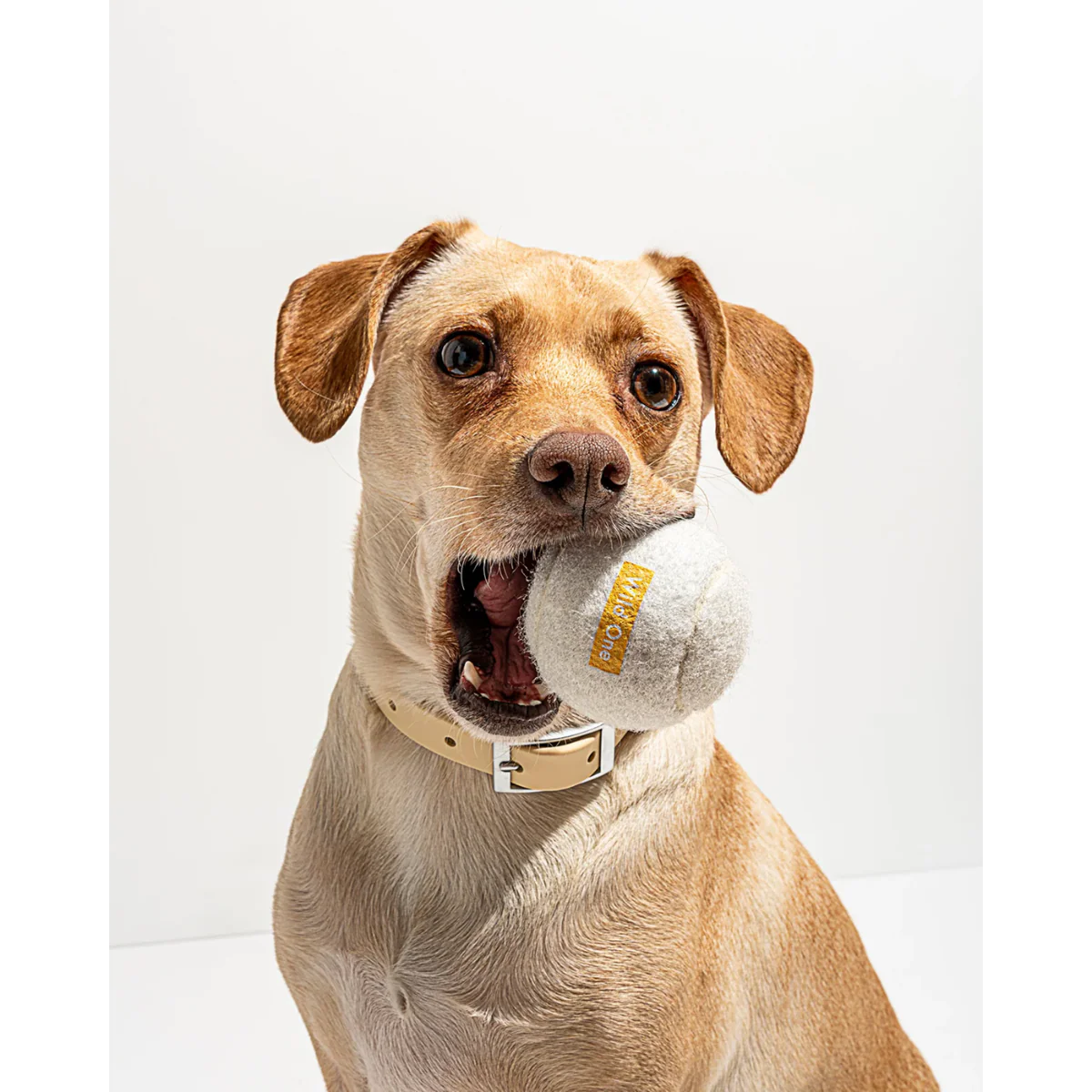 Tennis Balls  - Standard - White (4 CT) - Image 4