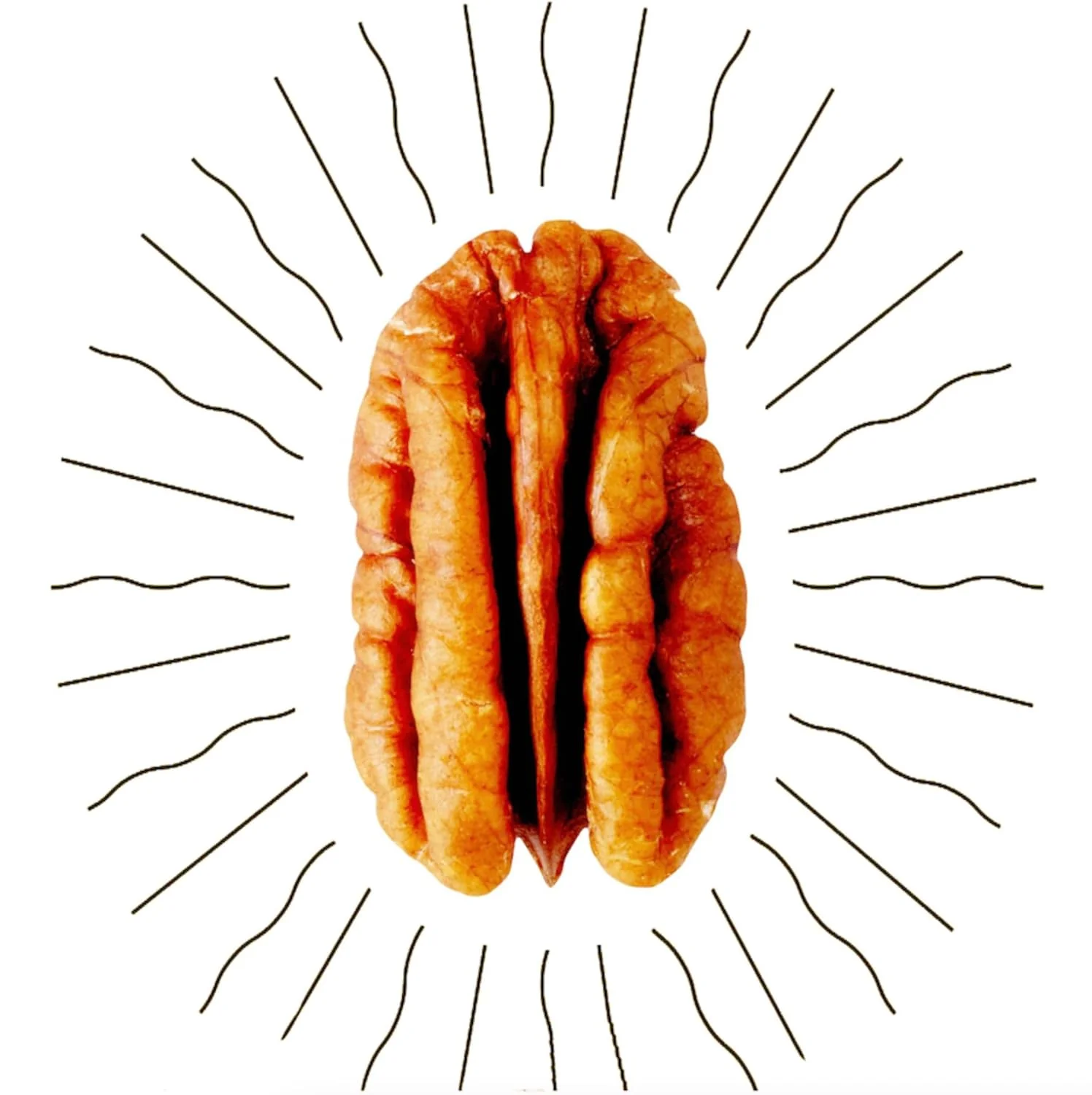 The Classic Candied Pecans - Image 5