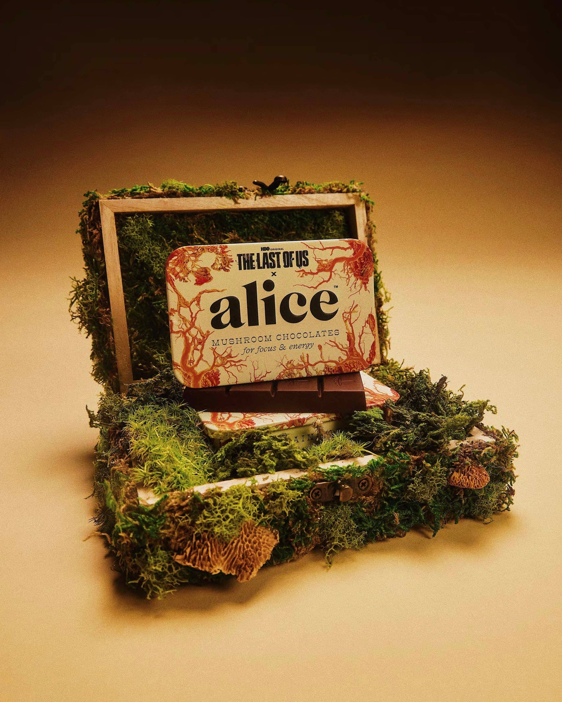 The Last of Us Brainstorm - Mushroom Chocolates - Image 7