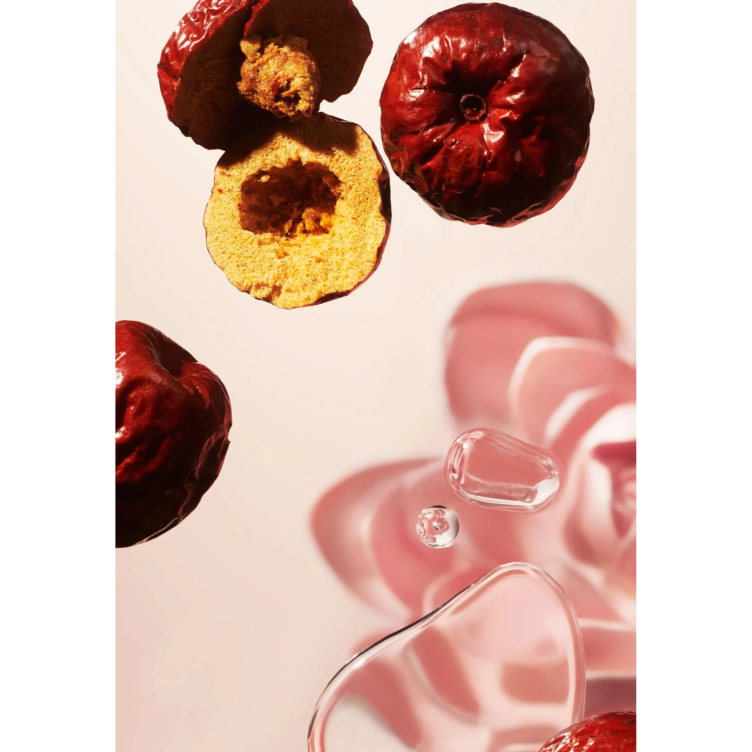The Ritual of Jing Fragrance Sticks – Sacred Lotus & Jujube - Image 3