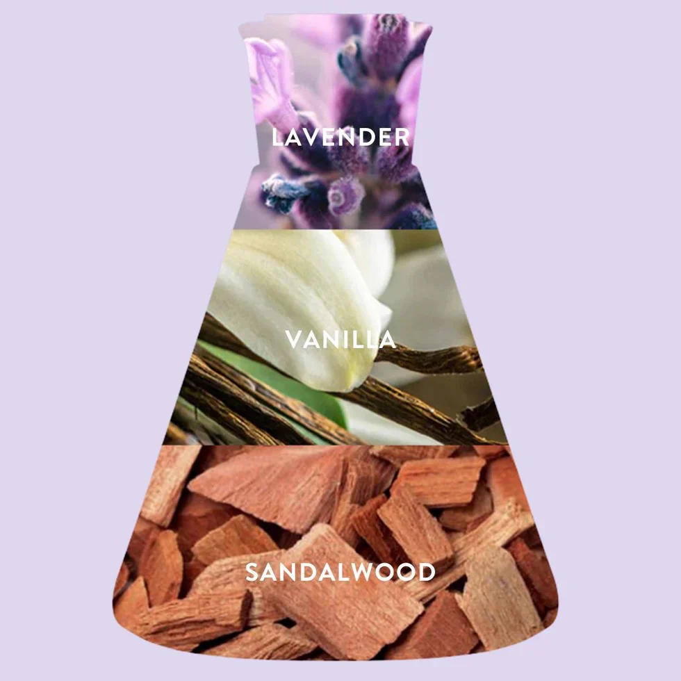 Tin Candle - Lavender + Ooh La La - Image 2