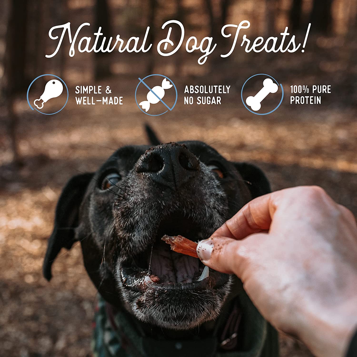 Turkey Breast Dog Treats - Image 4