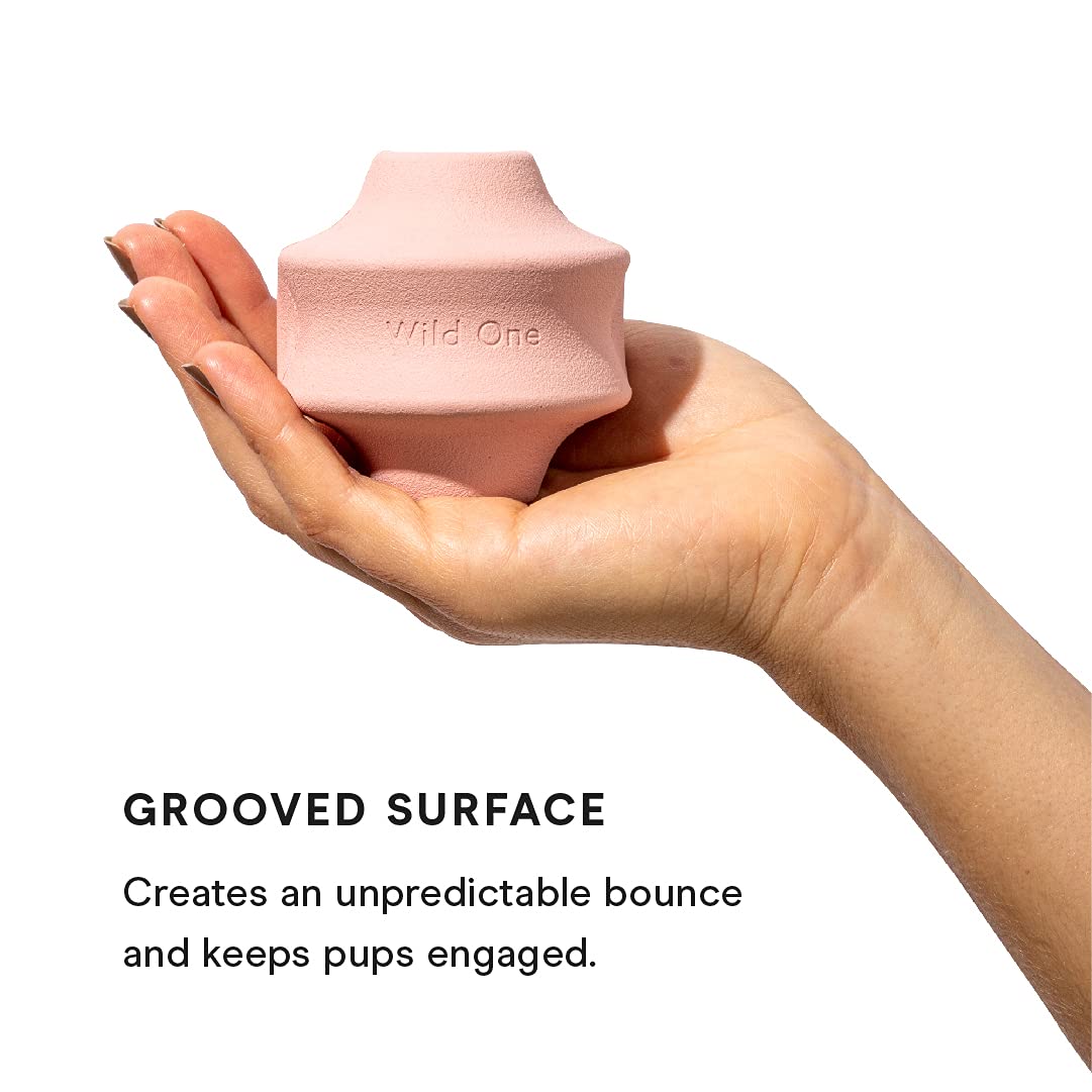 Twist Toss Interactive Dog Toy - Pink - Image 3