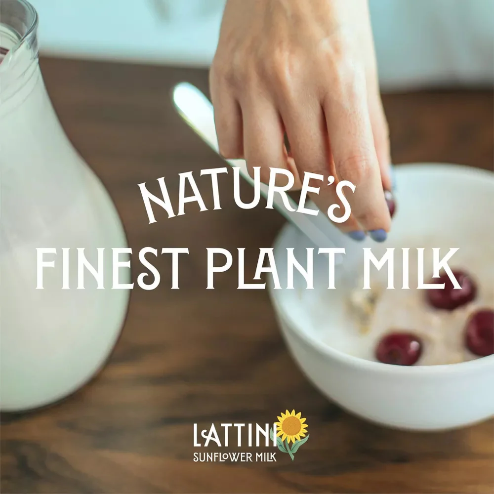 Unsweetened Sunflower Milk - Image 3