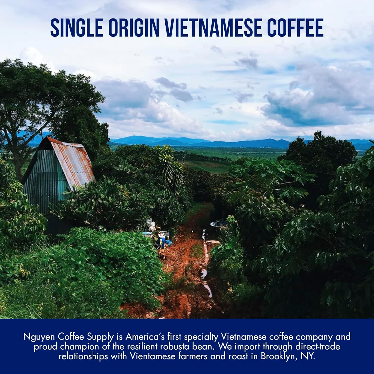 Vietnamese Cold Brew Coffee with Condensed Milk (12 Pack) - Image 3