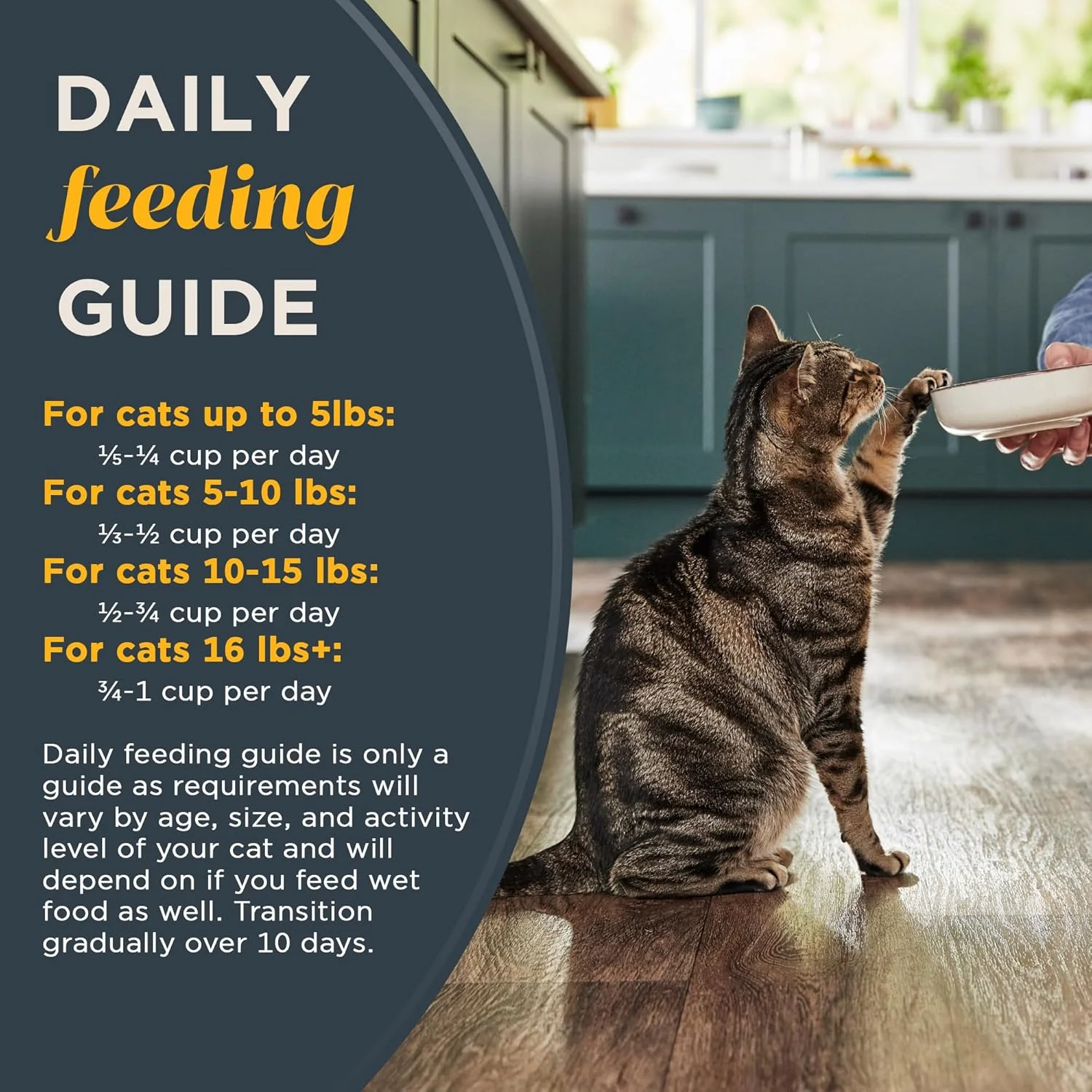 Whitefish Recipe Adult Complete Dry Cat Food - Image 2