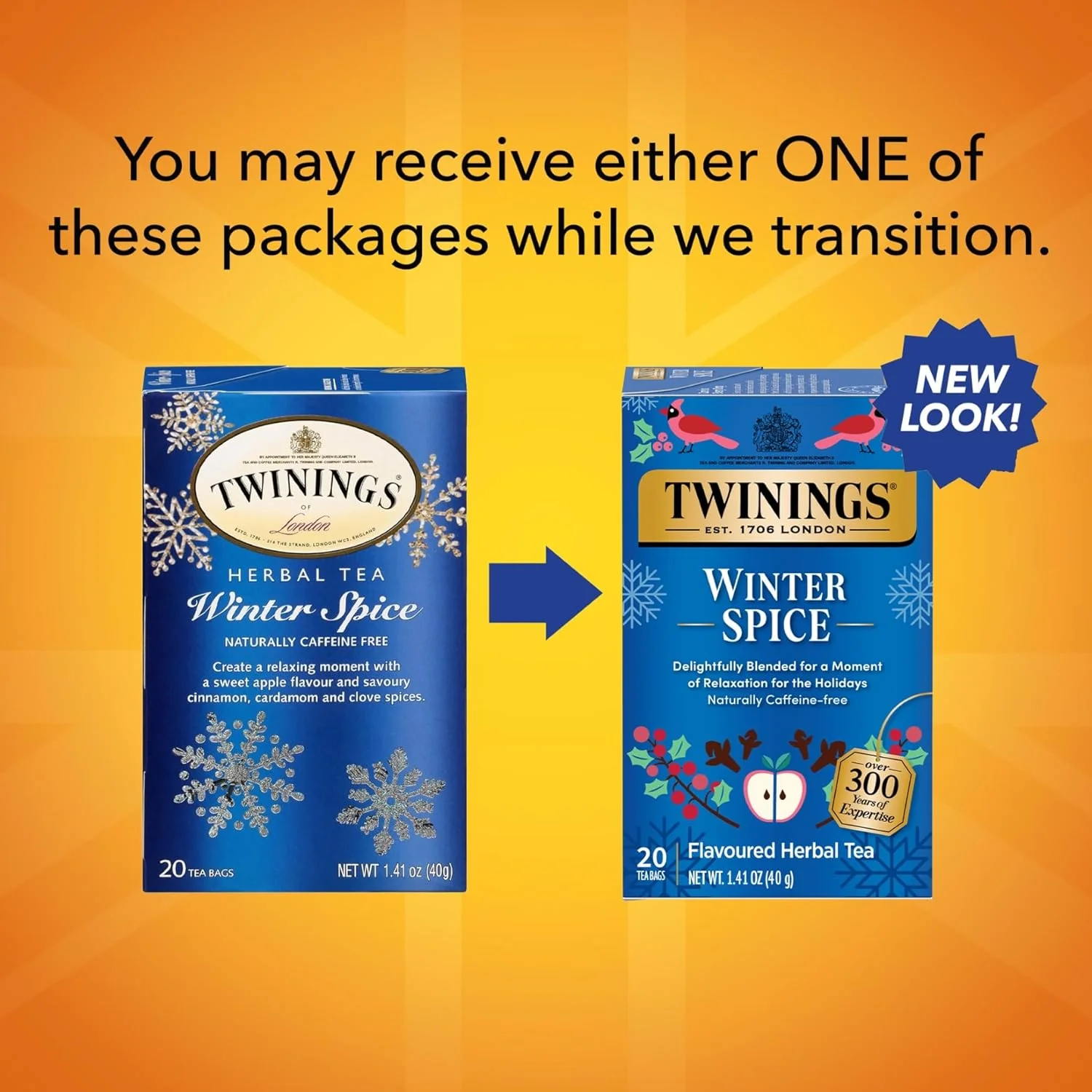 Winter Spice Tea (20 CT) - Image 3