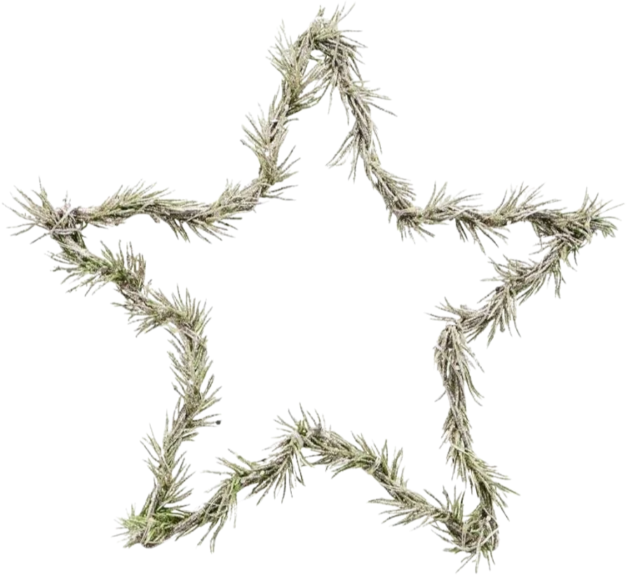 Wreath Star - Natural (9.84 in)