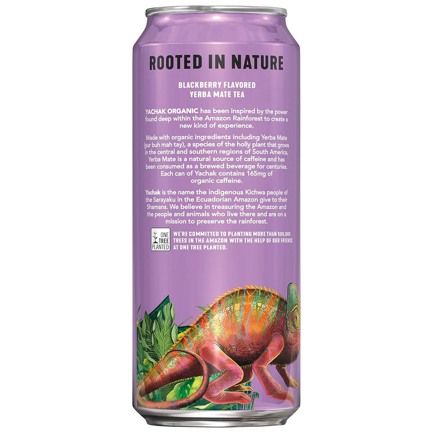 Blackberry Yerba Mate Tea (12 Pack) - Image 3