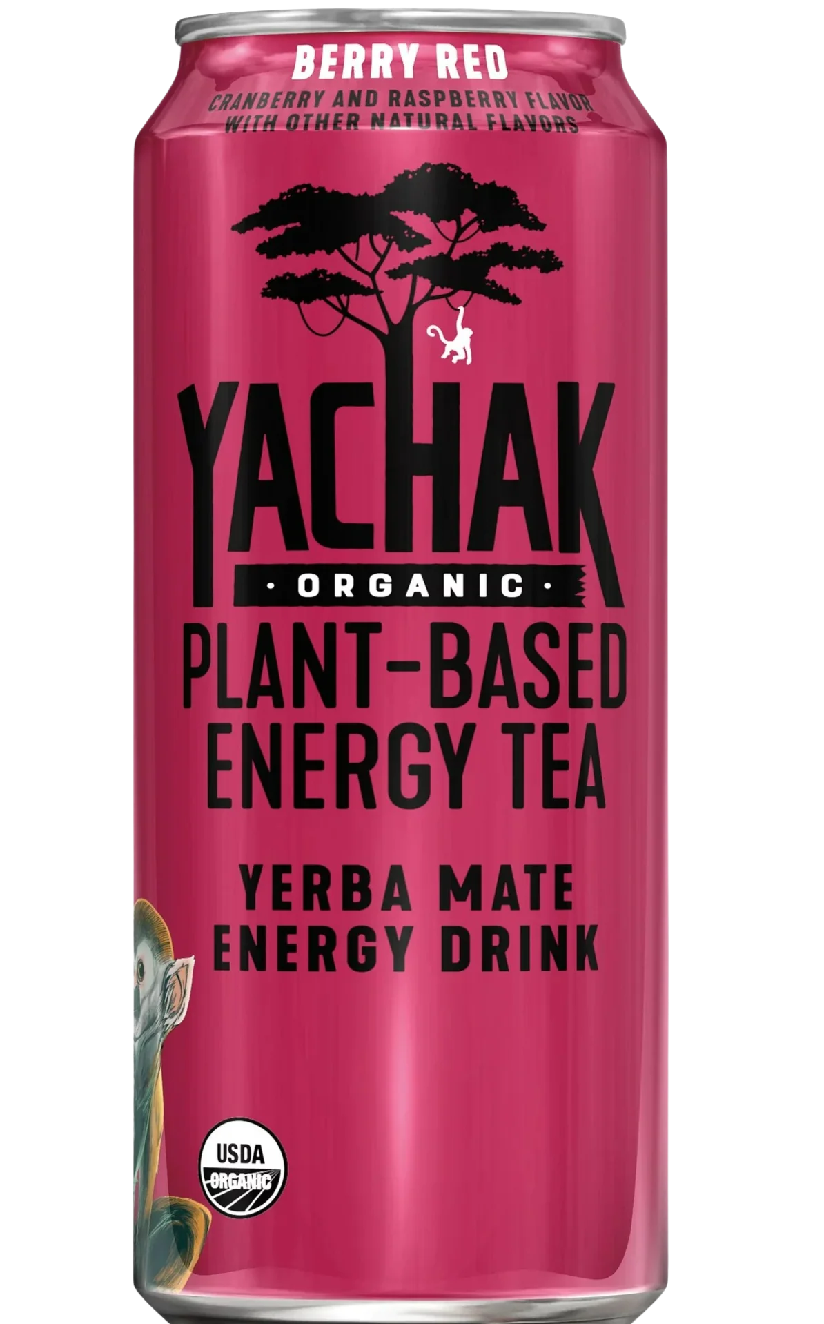 Organic Red Berry Yerba Mate (12 Pack) - Image 2