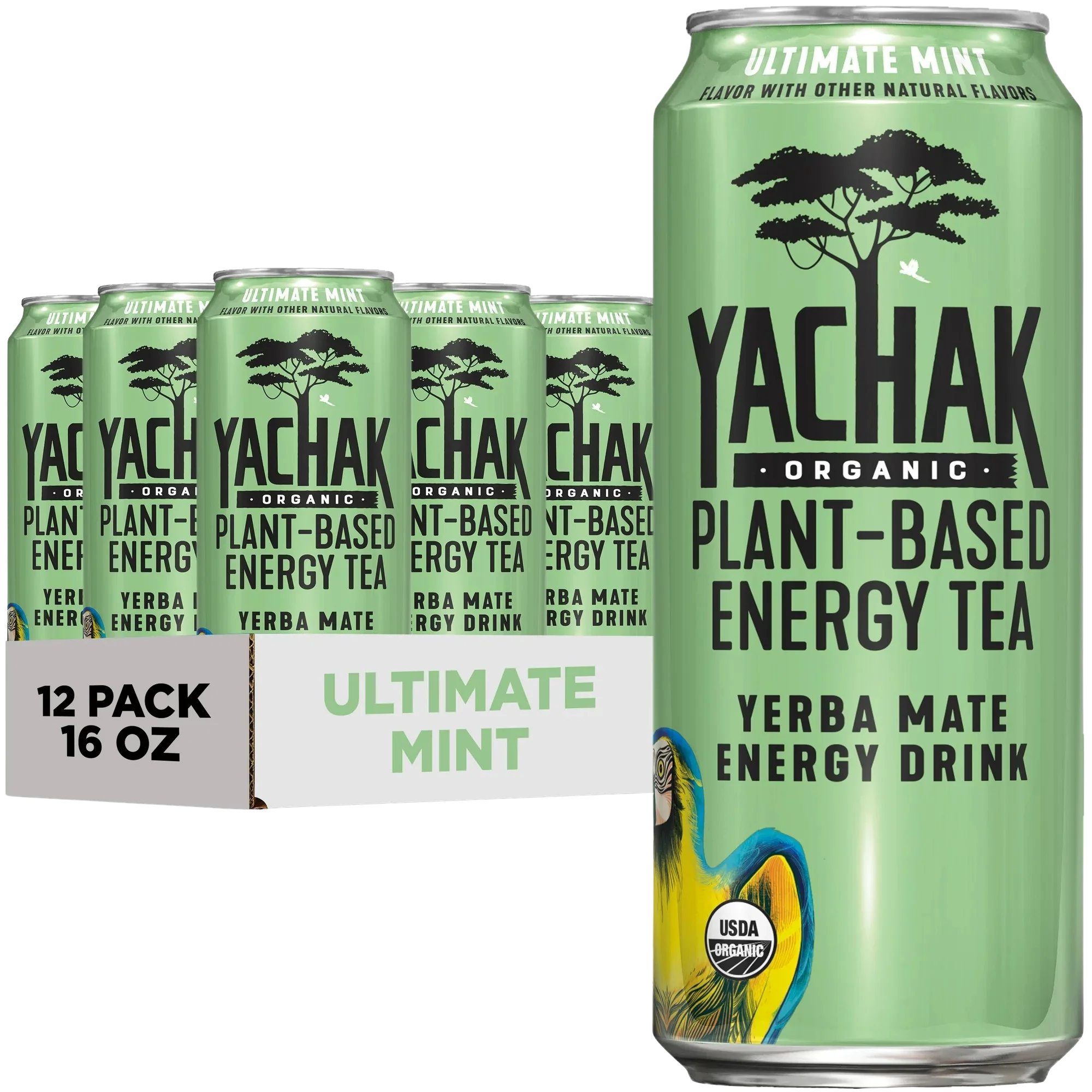 Organic Ultimate Mint Yerba Mate Tea (12 Pack)