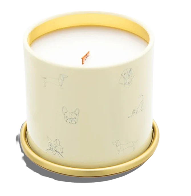 You Got This Citrus and Tropical Fruits Candle - Image 2